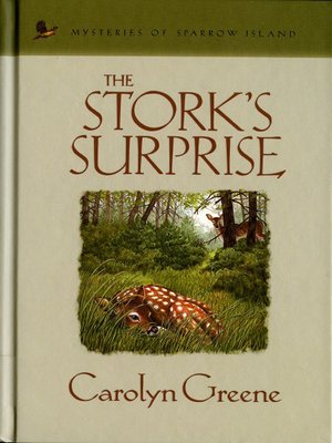 cover image of The Stork's Surprise